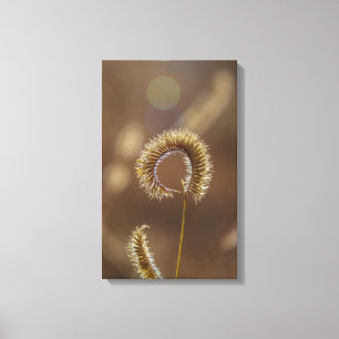 De zon schijnt op mij! canvas afdruk