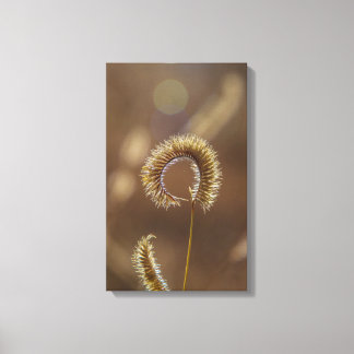 De zon schijnt op mij! canvas afdruk