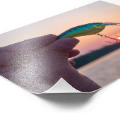 De zon vangen foto afdruk (Hoek)