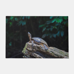 De zonnebaden van de schildpad in Tortuguero - Cos Deurmat