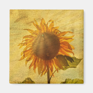 De Zonnebloem Magneet