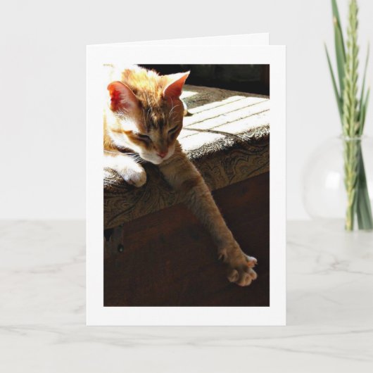 De "zonneschijn van de winter " kaart (Voorkant)