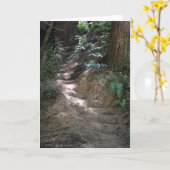 De zonovergoten Bos lege kaart van Stappen (Gele Bloem)