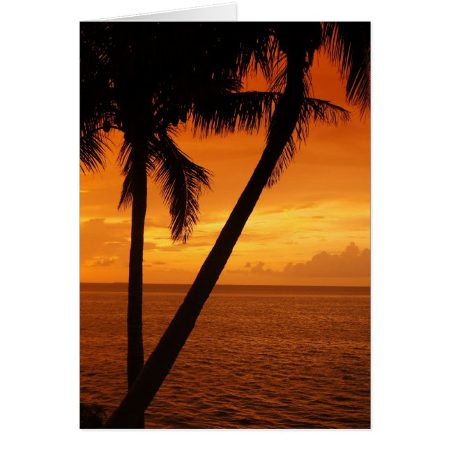 De zonsondergang van Florida Key (Voorkant)