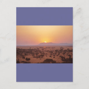 De Zonsondergang van Serengeti Briefkaart