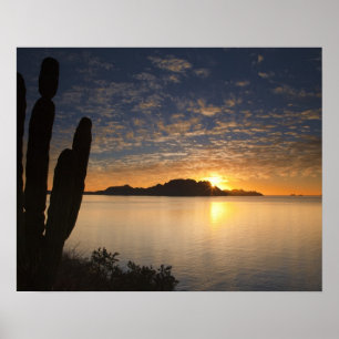 De zonsopgang boven Isla Danzante in de Golf van Poster