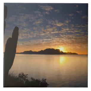 De zonsopgang boven Isla Danzante in de Golf van Tegeltje