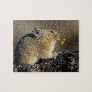 De zonsopgang uitspelen legpuzzel