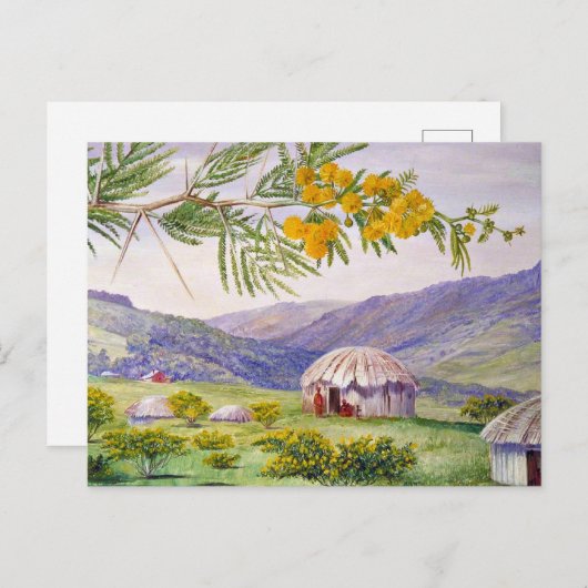 De Zuid-Afrikaanse Doornboom en Fingo Huts Briefkaart (Voorkant / Achterkant)