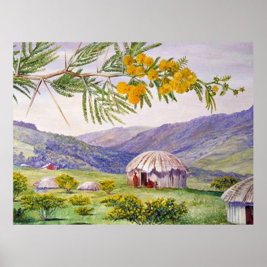 De Zuid-Afrikaanse Doornboom en Fingo Huts Poster (Voorkant)