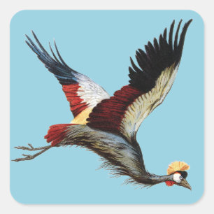 De Zuid-Afrikaanse gekroonde kraan in de middenvlu Vierkante Sticker