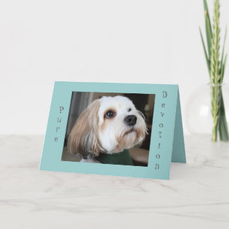 De zuivere kaart van de Toewijding