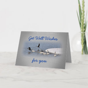 De zwanen & de Ganzen embbk- passen om het even Kaart