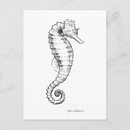 De Zwart-witte Tekening van Seahorse Briefkaart (Voorkant)