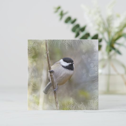 De zwarte Afgedekte Ceder Chickadee vertakt zich Feestdagenkaart (Staand voorkant)