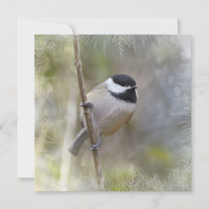 De zwarte Afgedekte Ceder Chickadee vertakt zich Feestdagenkaart
