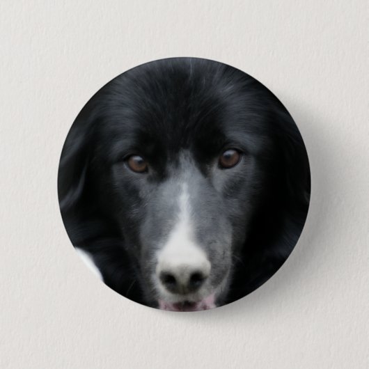 De zwarte Button van de Hond van het Gezicht van (Voorkant)