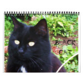 DE ZWARTE CAT-kalender Kalender (Hoes)