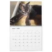 DE ZWARTE CAT-kalender Kalender (Mar 2027)