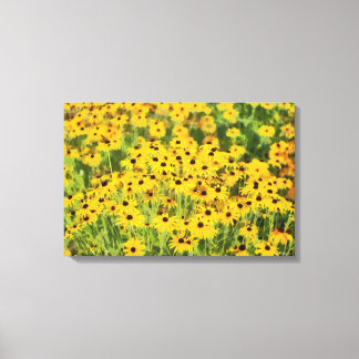 De zwarte Eyed Susans Verpakte Druk van de Kunst Canvas Afdruk