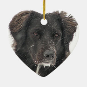 De zwarte Foto van het Huisdier van de Labrador Keramisch Ornament