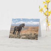 "De zwarte hengst" Opmerking Kaart (Gele Bloem)