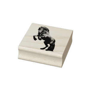 De zwarte hengst van Friesland, de zwarte schoonhe Rubberstempel