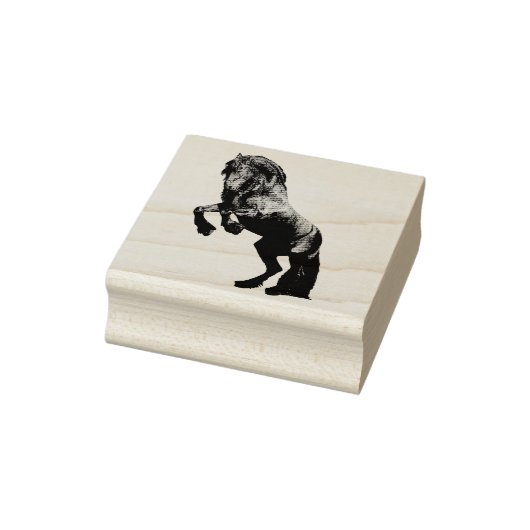 De zwarte hengst van Friesland, de zwarte schoonhe Rubberstempel (Stempel)