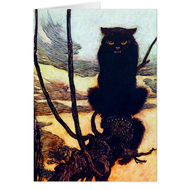 De zwarte kat (Voorkant)