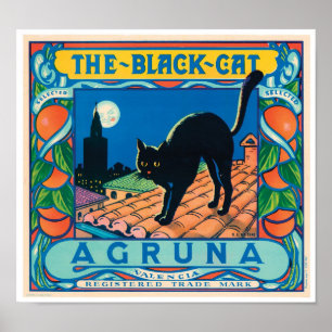 De zwarte kat Agruna Valencia Sinaasappel kool Poster
