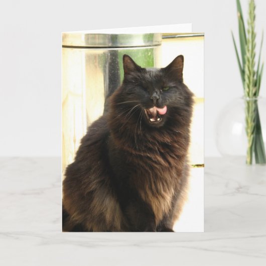 De Zwarte Kat van Halloween met Één Oog Kaart (Voorkant)