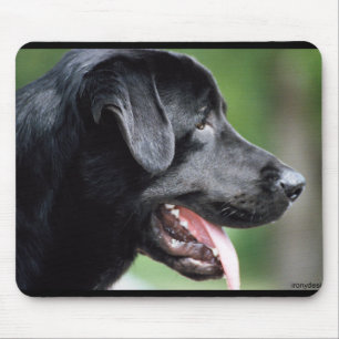 De zwarte labrador muismat