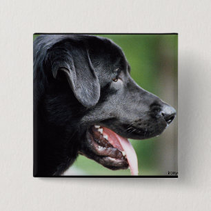 De zwarte labrador vierkante button 5,1 cm