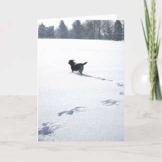 De zwarte spelen van Labrador in de sneeuw Feestdagen Kaart