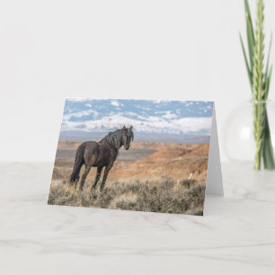 De zwarte Stallion Note Card Kaart