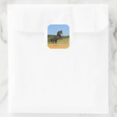 De Zwarte Stallion Ronde Sticker (Tas)