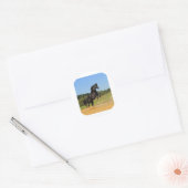 De Zwarte Stallion Ronde Sticker (Envelop)