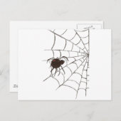 De zwarte weduwe briefkaart (Voorkant / Achterkant)