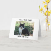 De zwarte Witte Kat van N, GOED, HALLO DAAR, HOE Kaart (Gele Bloem)