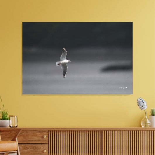 De zwartkopmeeuw Ver.Summer in Japan Canvas Afdruk (Insitu (Woonkamer))