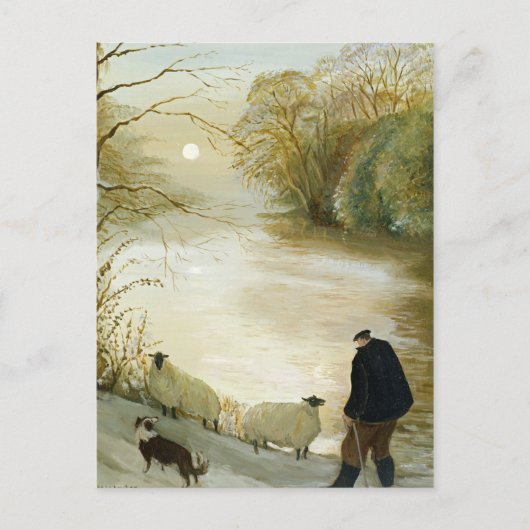 De zwerfschapen briefkaart (Voorkant)