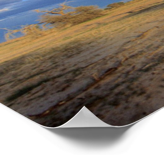 Dead Camel Thorn Poster (Hoek)