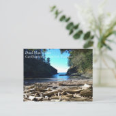 Dead Man Cove, Cape Dispression, Washington Briefkaart (Staand voorkant)