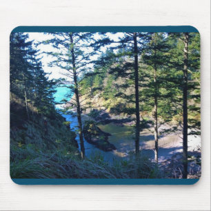 Dead Man Cove, Cape Dispression, Washington Muismat