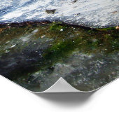 Dead Piano Poster (Hoek)