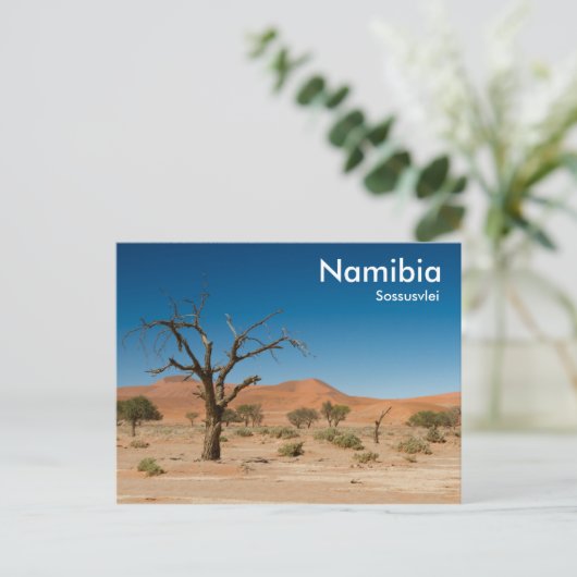 Dead Tree at Sossusvlei carte postale avec texte (Debout devant)