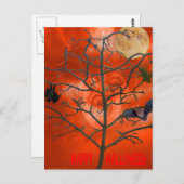 Dead Tree au milieu d'une carte postale Sky Orange (Devant / Derrière)