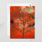 Dead Tree au milieu d'une carte postale Sky Orange (Devant / Derrière)