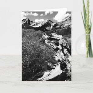 Dead Tree Mountains, zwart en wit, leeg van binnen Kaart