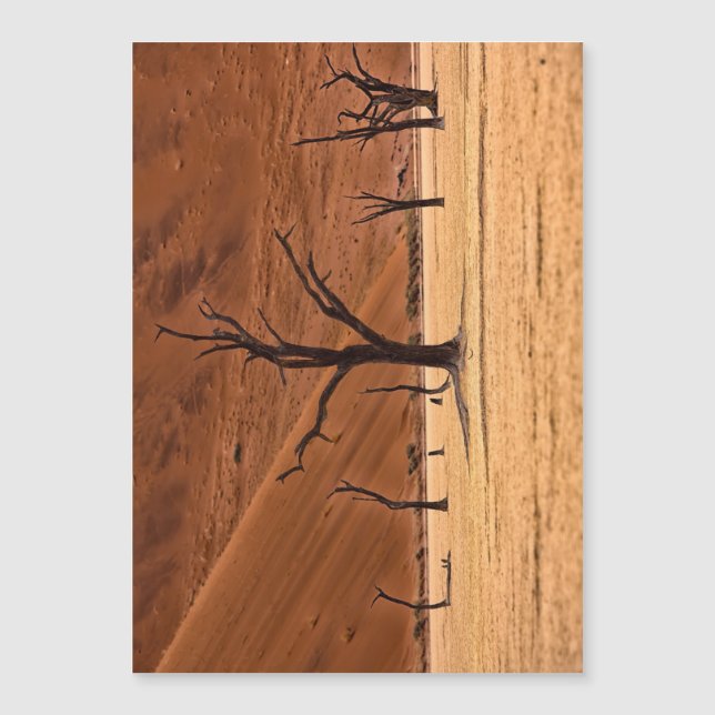 Dead Vlei, Namibia (Voorkant)